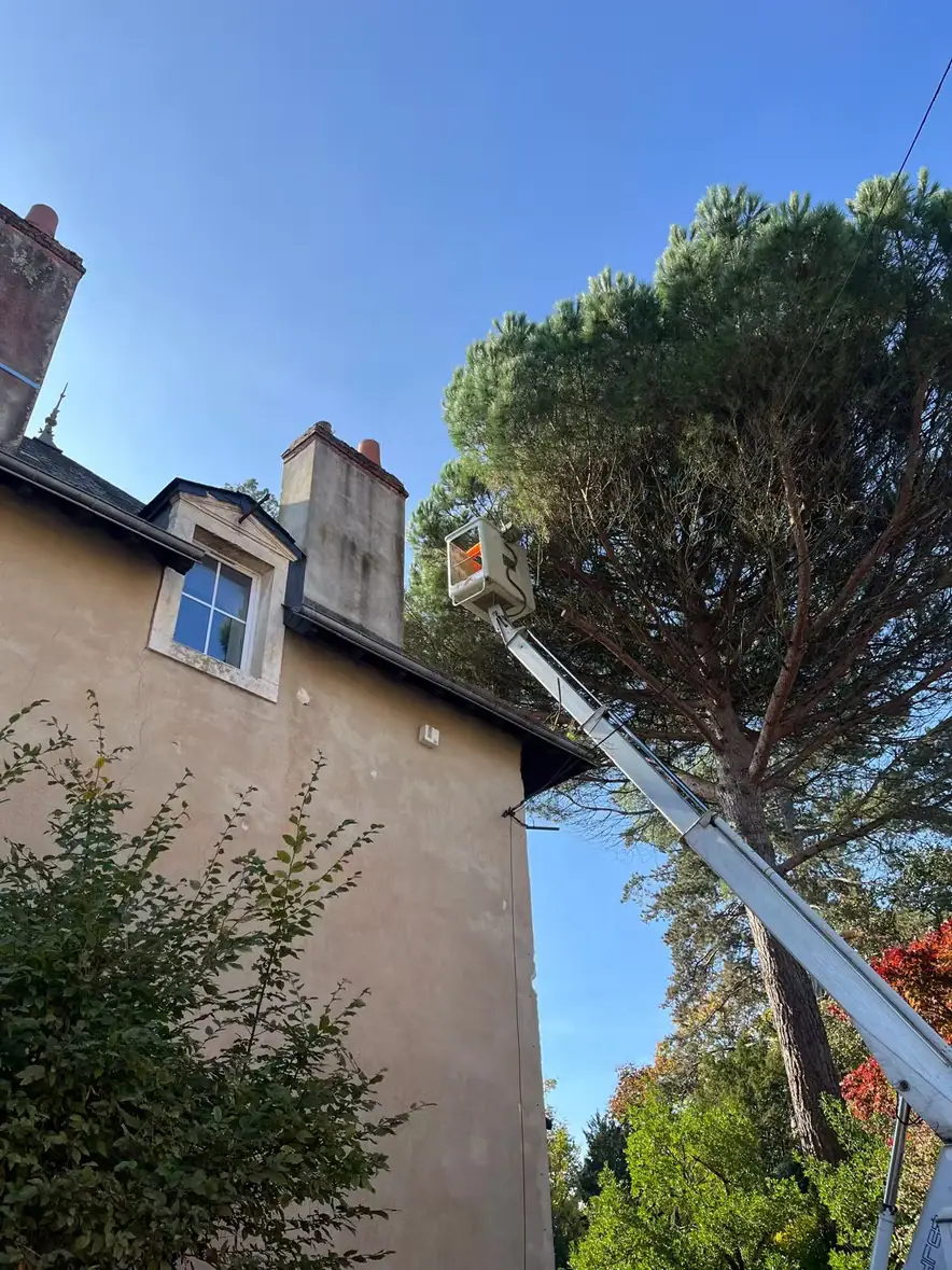 Bras de nacelle passant au-dessus d'un toit pour atteindre un grand pin